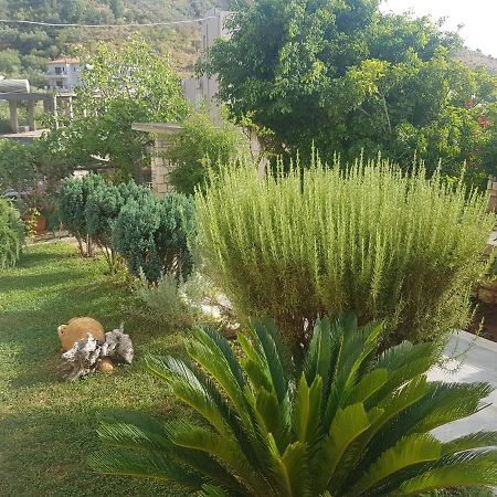 Spyridoula'S Guest House Himare Bagian luar foto